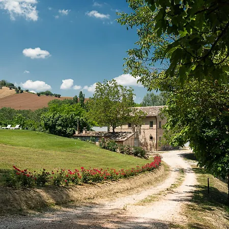 Rossana * Montottone